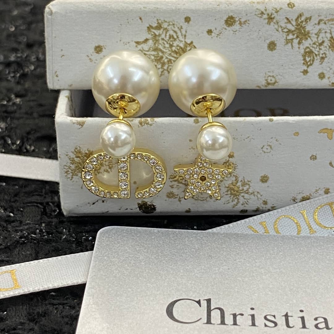 Fake Chr1st1an D10r Logo Earring