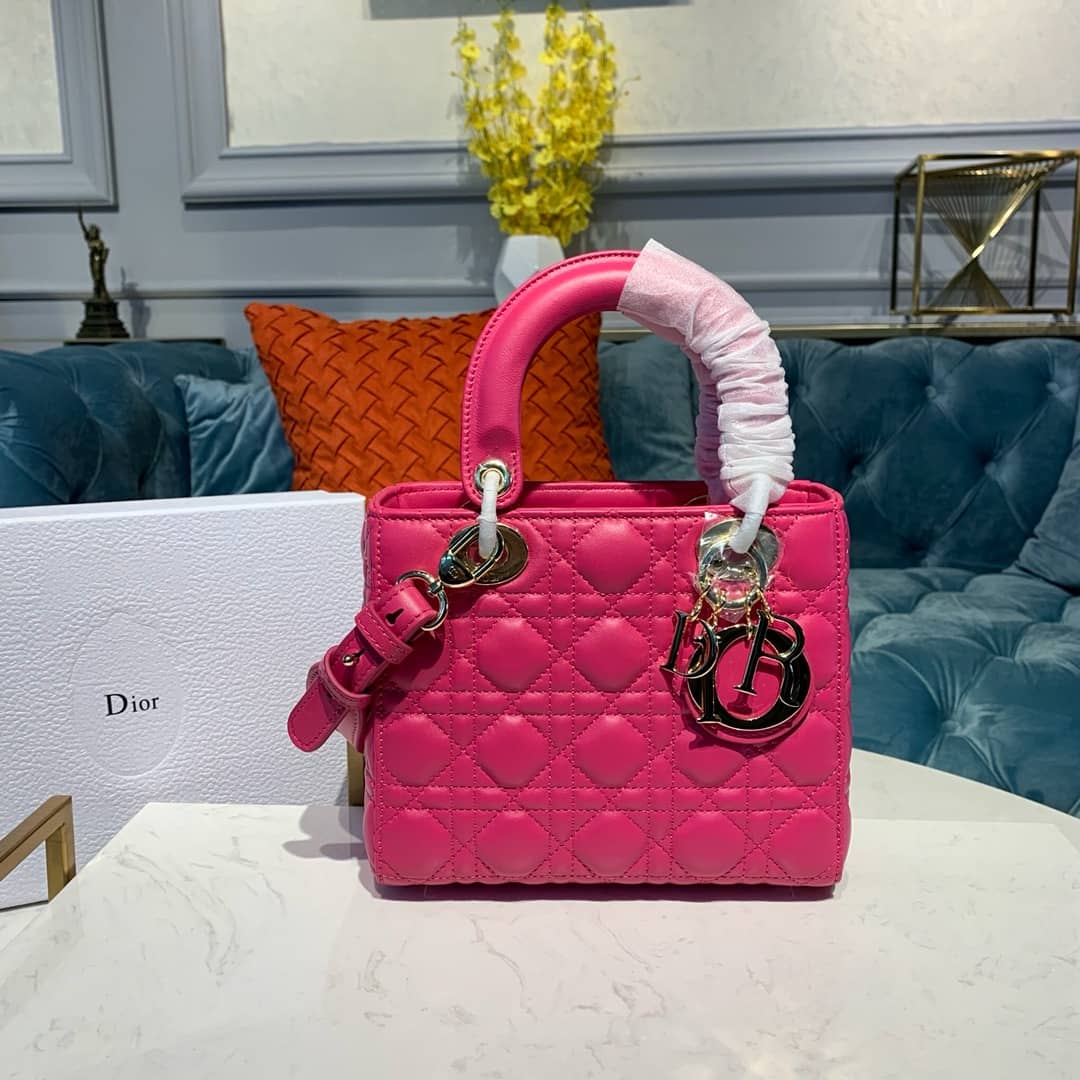 Chr1st1an D10r Lady D10r 20CM Replica Bag