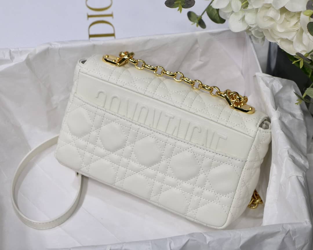 Chr1st1an D10r Caro Replica Bag