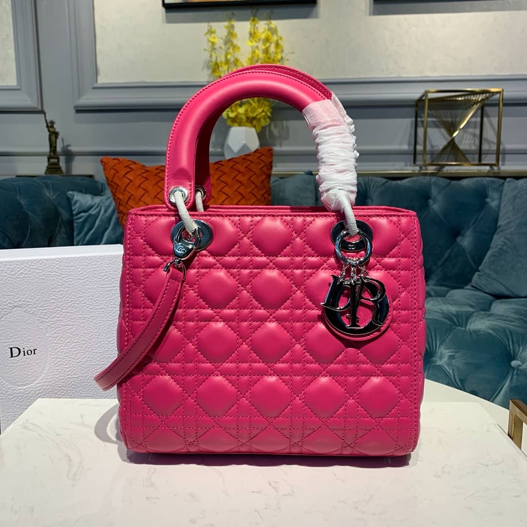 Chr1st1an D10r Lady D10r 24CM Replica Bag