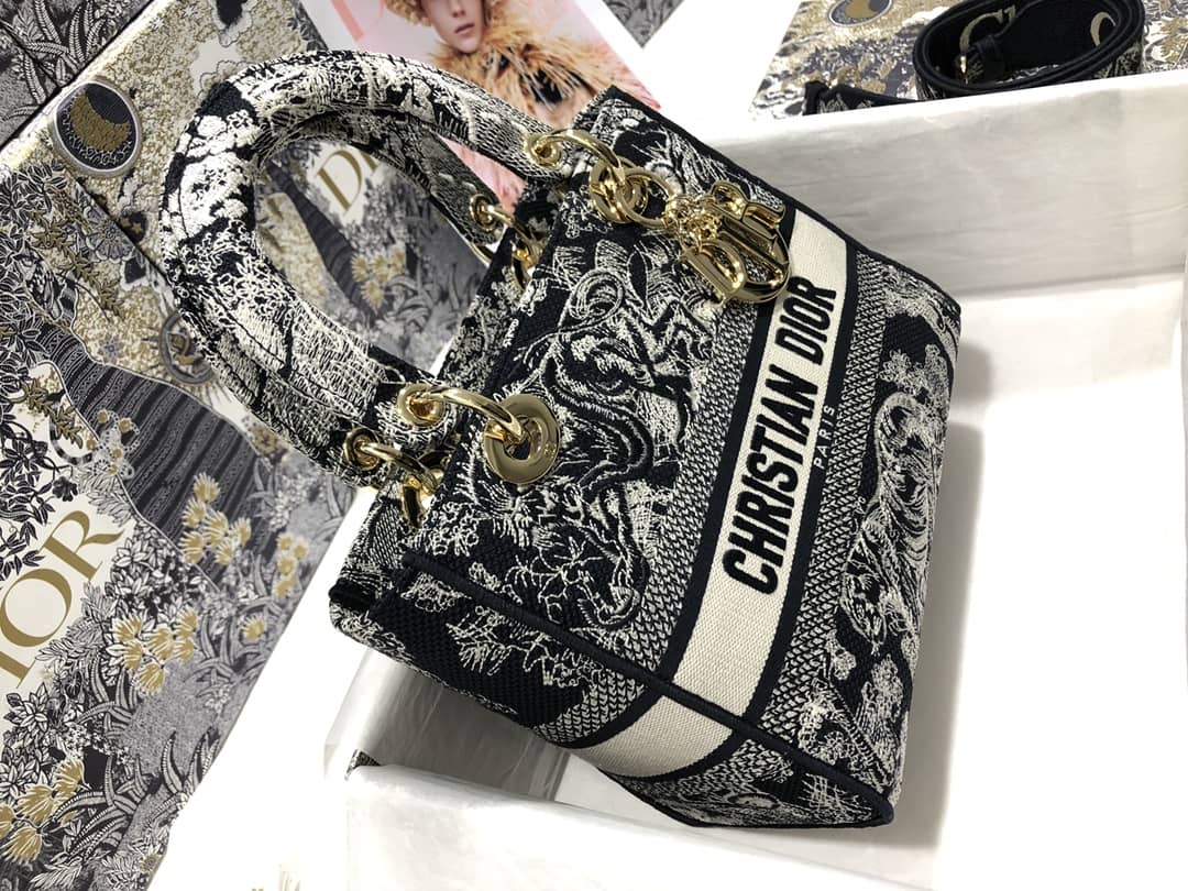 Chr1st1an D10r Lady D10r 24CM Replica Bag