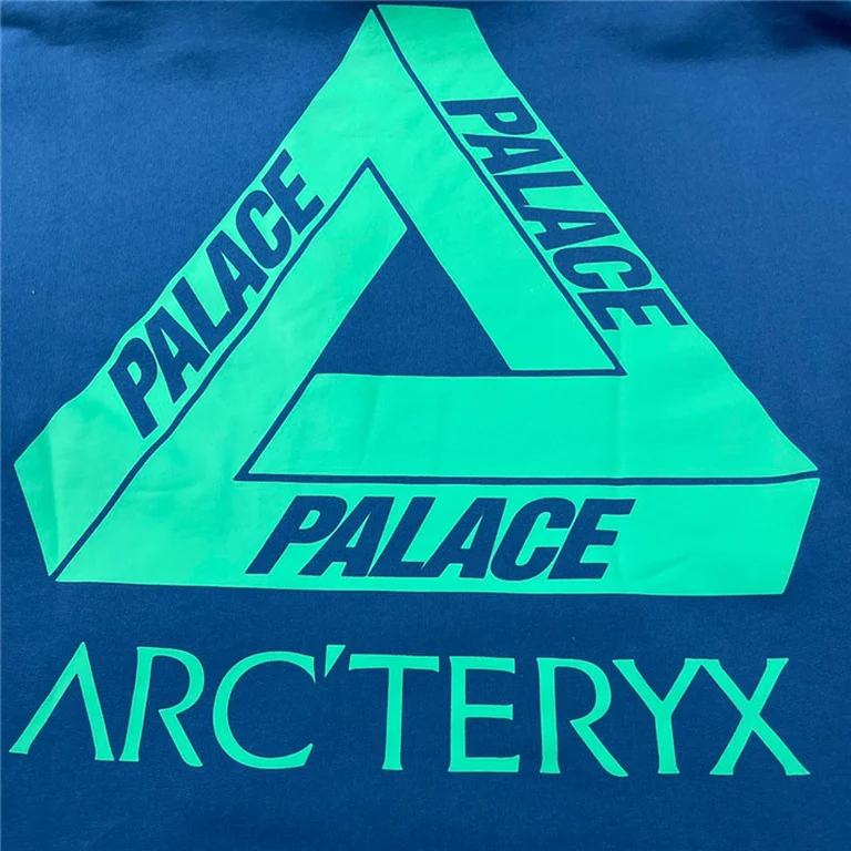 Arcteryx Down Hoodie