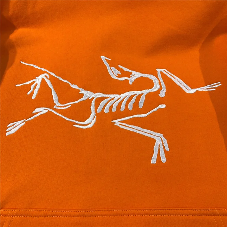 Arcteryx Down Hoodie