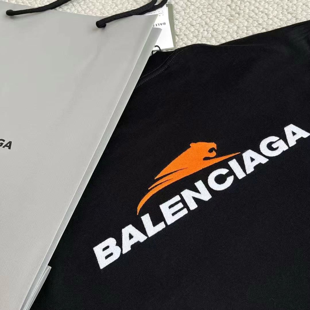 Ba1en*iaga T-shirt