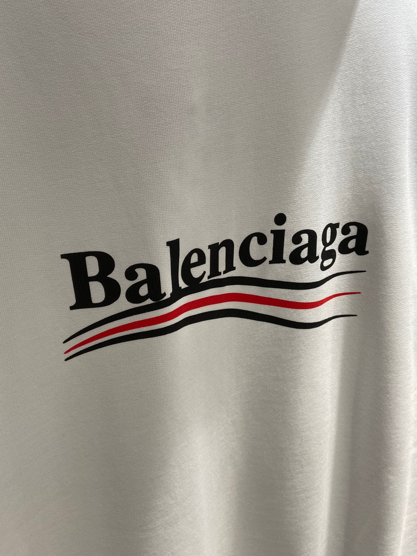 Ba1en*iaga Hoodie