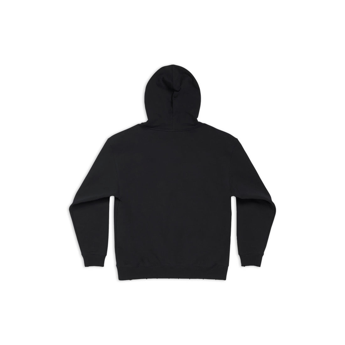 Ba1en*iaga Hoodie