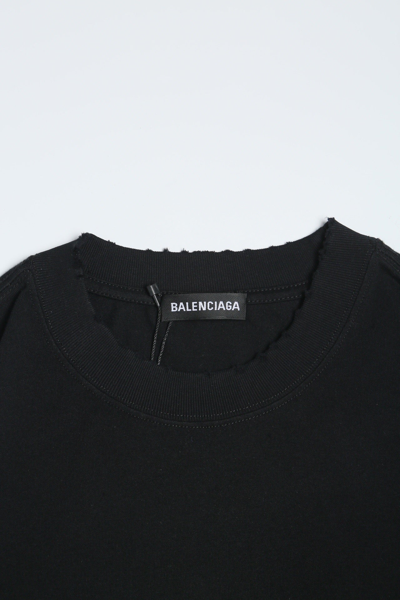 Ba1en*iaga T-shirt