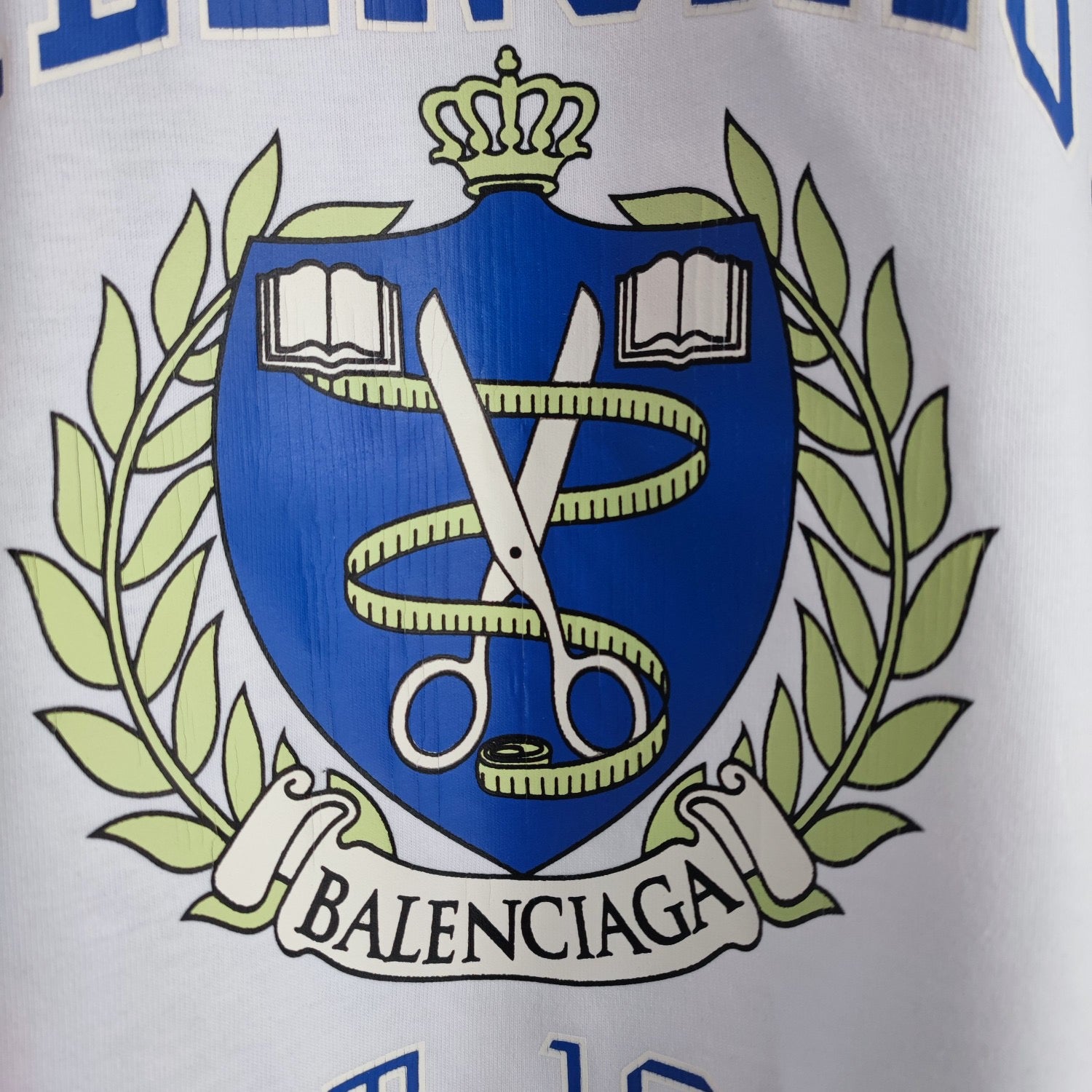 Ba1en*iaga T-shirt
