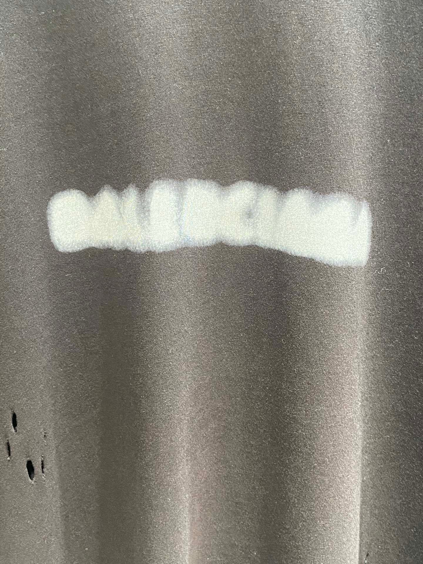 Ba1en*iaga T-shirt